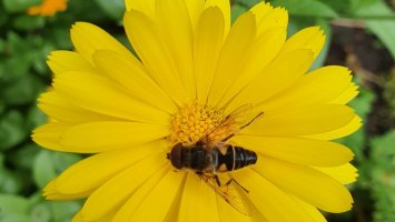 Kiitos säätiöille!