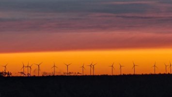 Tervetuloa julkistuswebinaariin: Vihreä siirtymä, maaseutuelinkeinot ja yhteiskunnallinen resilienssi