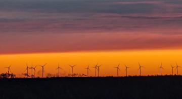 Yhteiskunnan resilienssi, vihreä siirtymä ja maaseutuelinkeinot