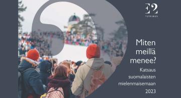 How are we doing? Annual review of Finn’s mental landscape